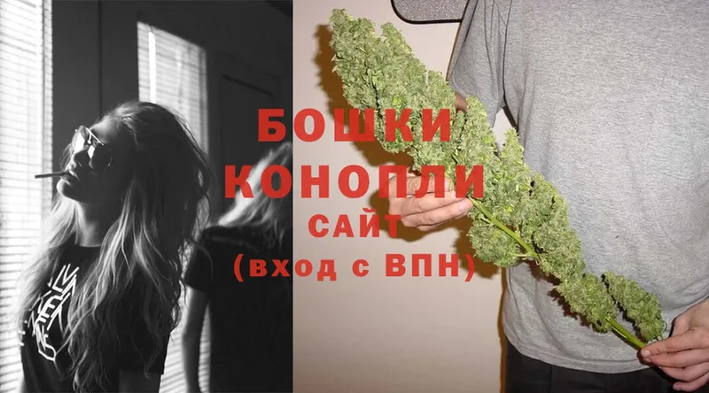 Бошки марихуана White Widow  закладка  Карасук 